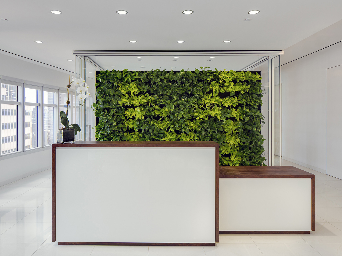 办公空间焕新指南：布局规划×视觉美学×舒适升级全攻略(图1)